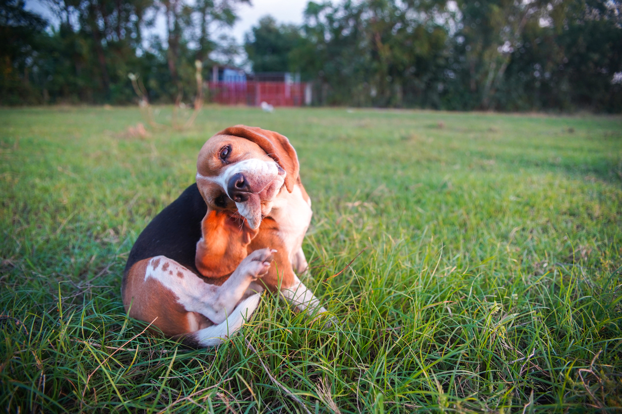  Is the itch worth the scratch?